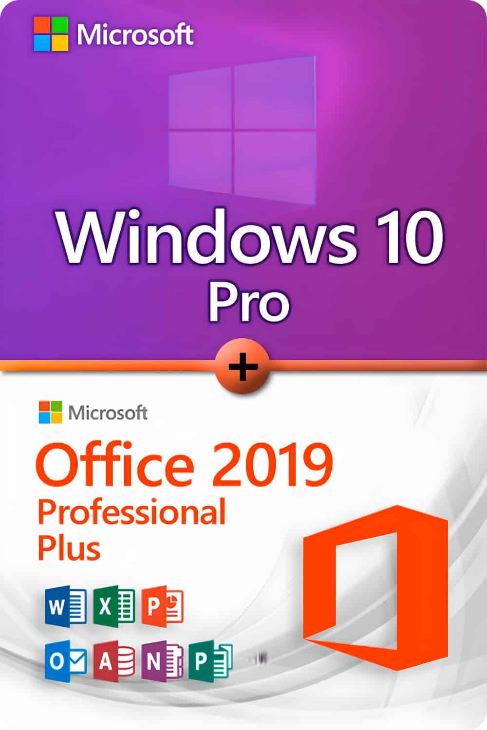 Microsoft Windows 10 Professional + Microsoft Office 2019 Professional Plus License for 3 devices
